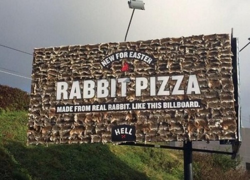 Biển quảng cáo pizza làm từ xác thỏ gây sốc