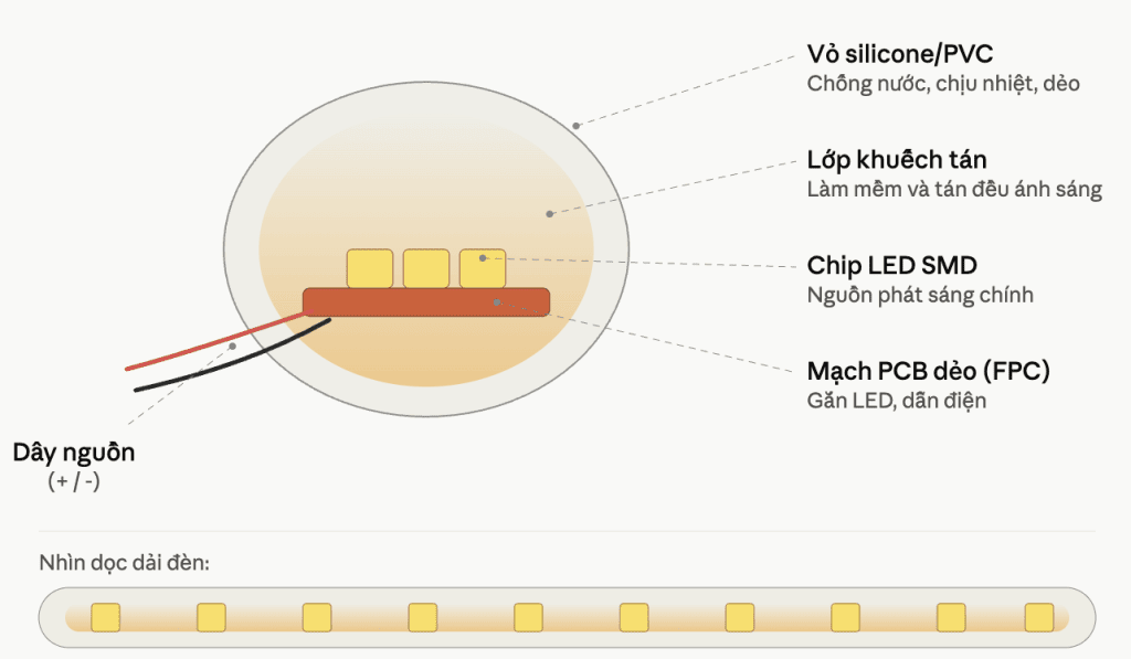 Chip LED được bố trí liên tục dọc theo chiều dài dải đèn